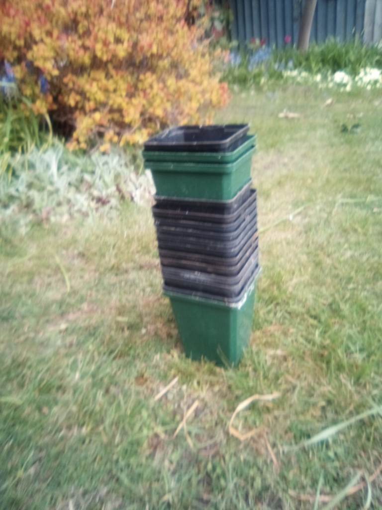 Batch of small square greenhouse potting plant pots