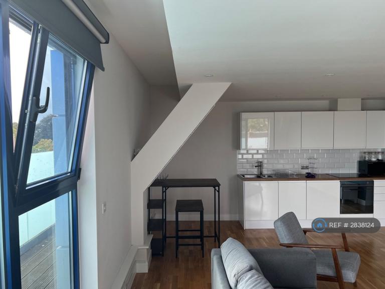 1 bedroom flat in Ber Street, Norwich, NR1 (1 bed) (#2838124)