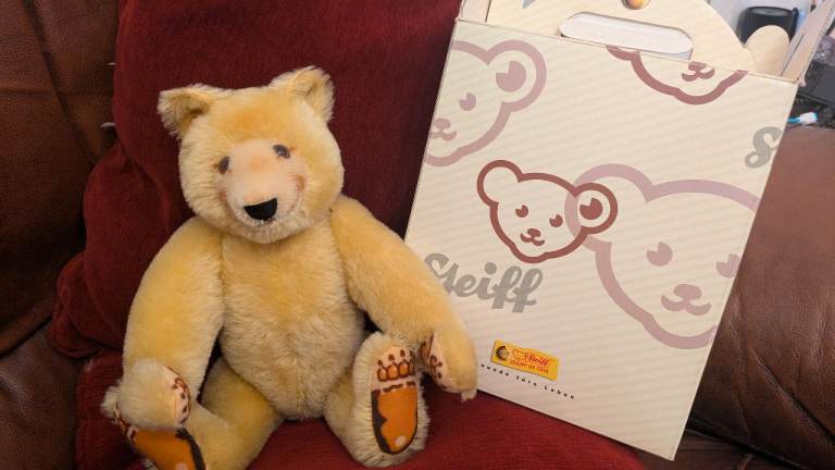 Steiff teddy bear 