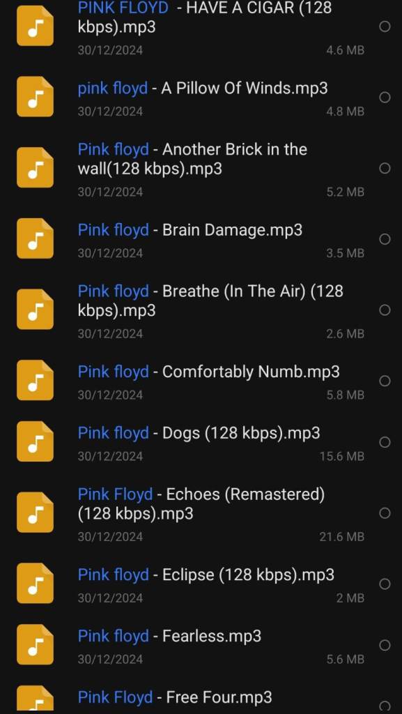 music + movie collection. all genres. rock, reggae, rap, hiphop, electronic, classic rock, folk