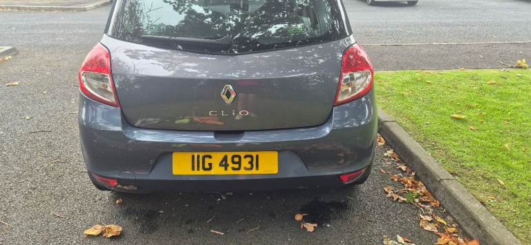 Renault, CLIO, Hatchback, 2010, Manual, 1461 (cc), 5 doors