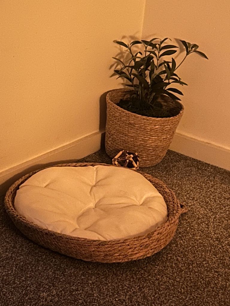 Rattan beautiful Cat bed with cushion 