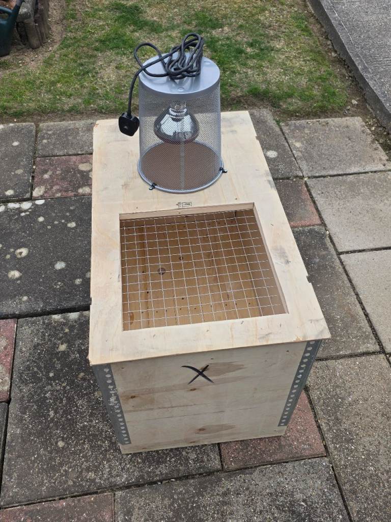 Chicken/Quail Brooder Complete Set Up