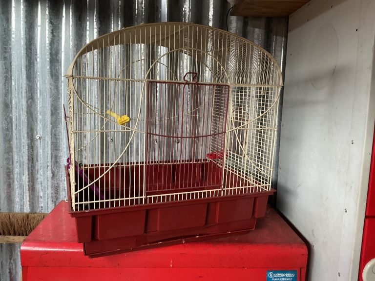 Bird cage 
