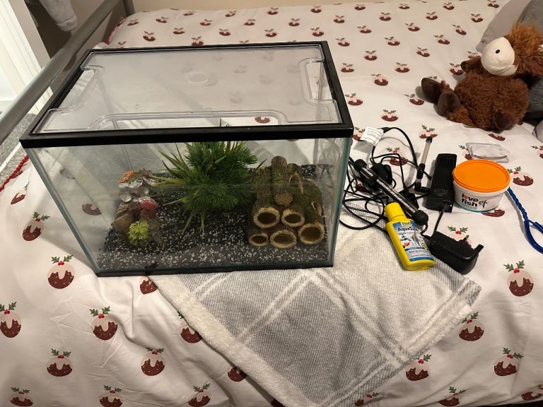 Fish tank and accessories for sale
