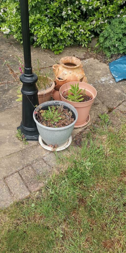 Large amount of planters, pots, all free