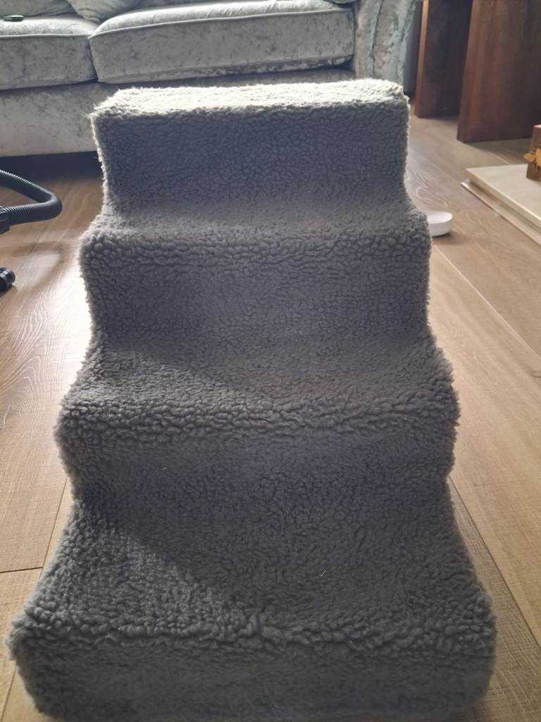 Pet steps for elderly cat/dog