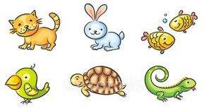 2026 dates including next few weeks - FREE service, house-sitter, cat sitting