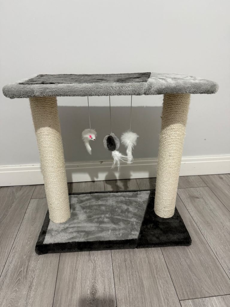 Cat scratcher