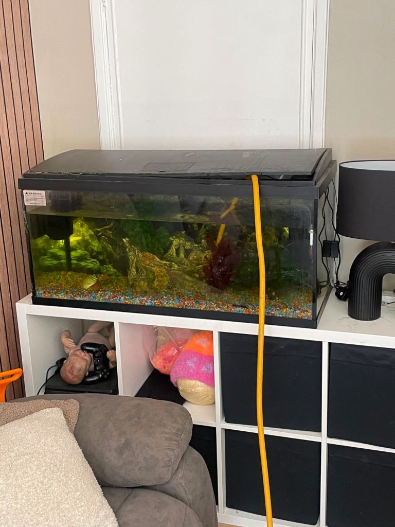 3ft fish tank