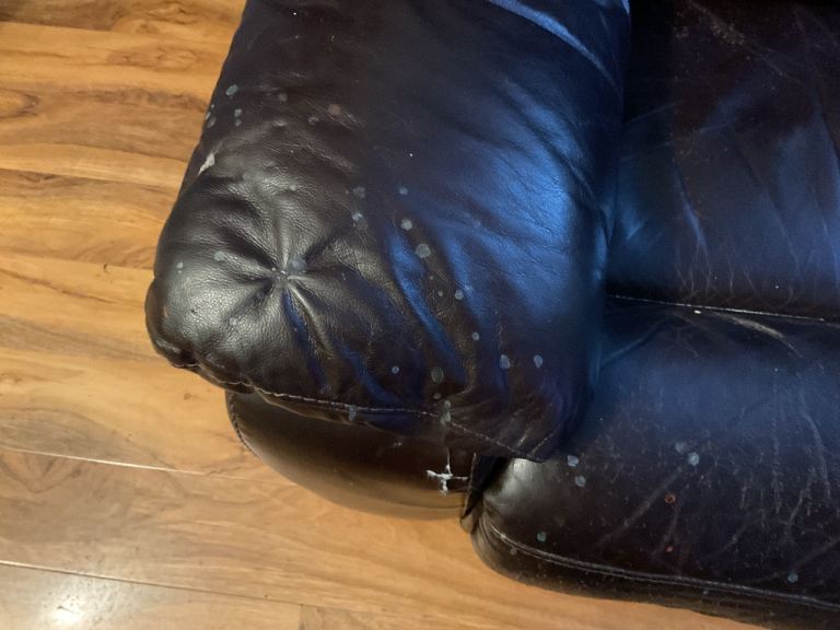 Leather sofa and chair
