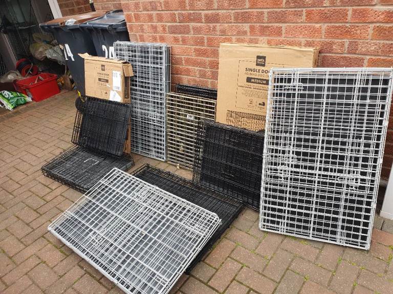 Dog cages 