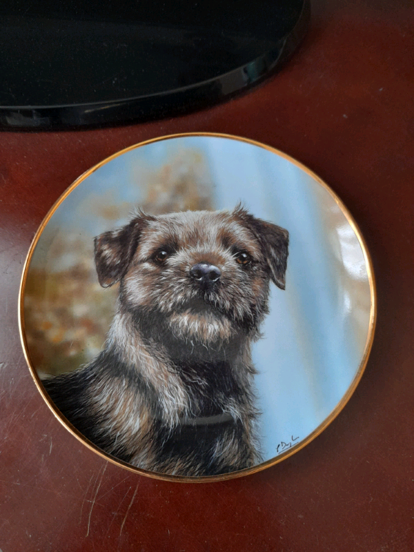 Border terrier collectible plates