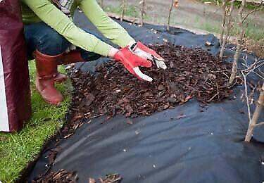 Weed Control Fabric (Gardening)
