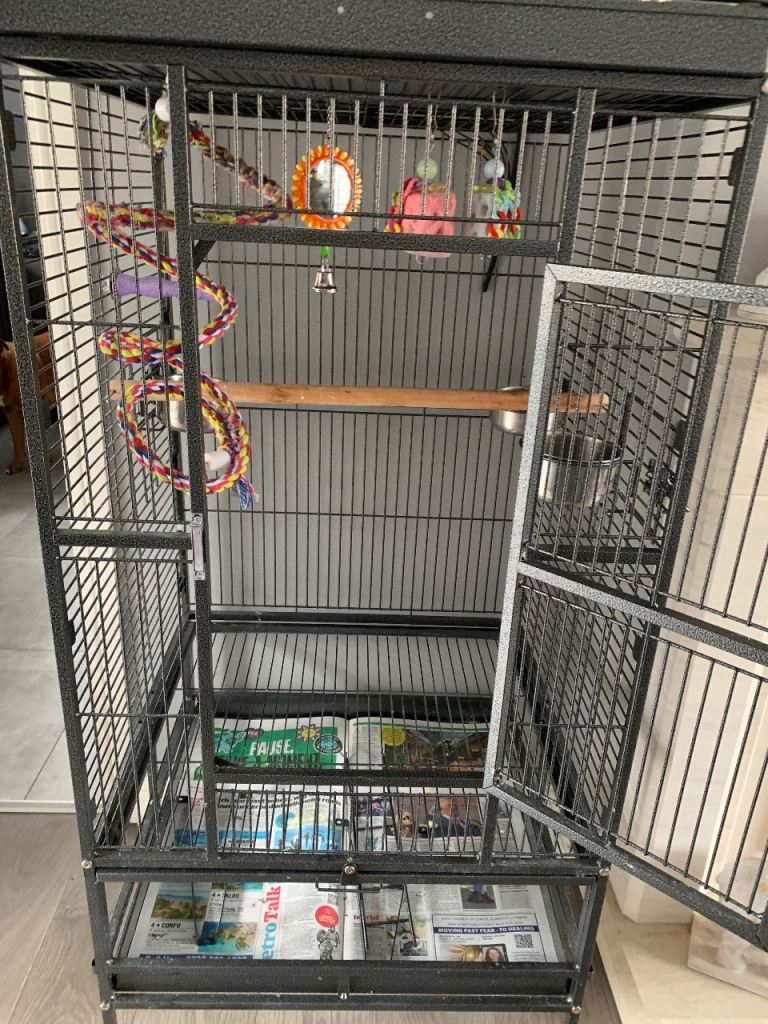 Large parrot cage