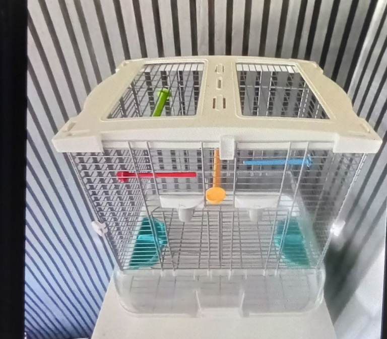 Bird cage 