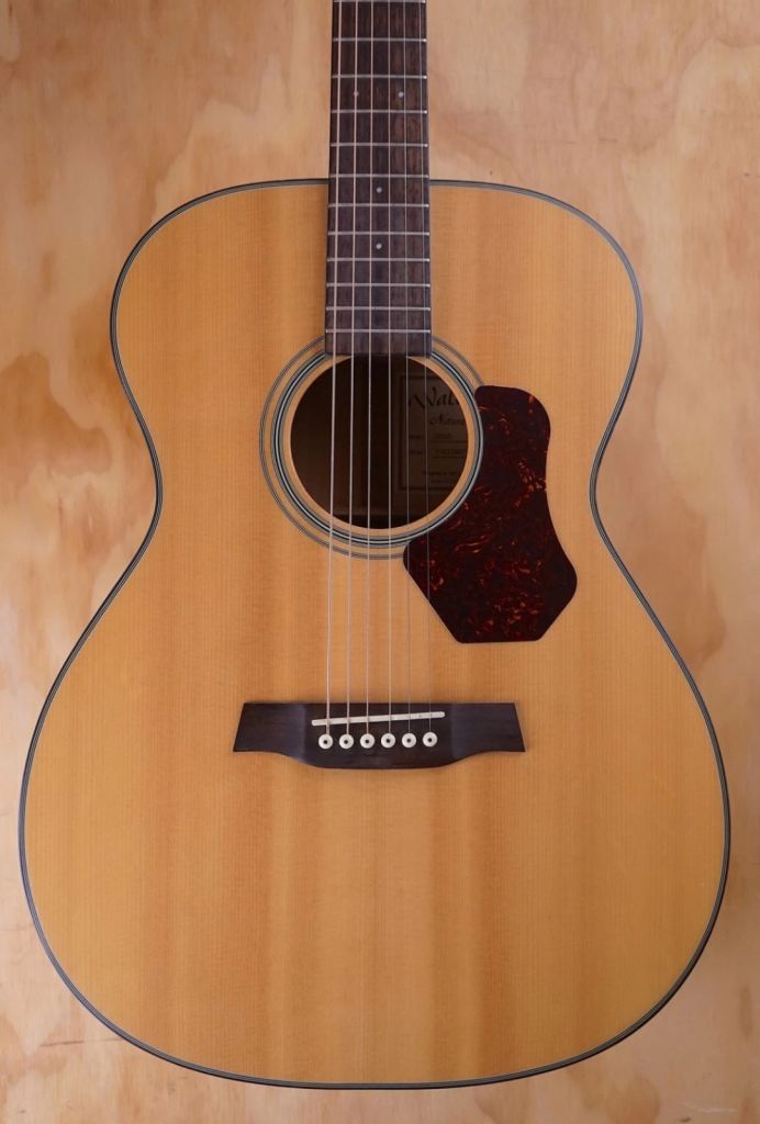 Acoustic guitar Walden 0550