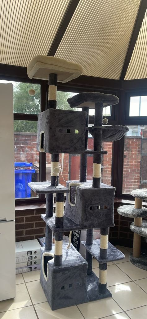 Cat tree 