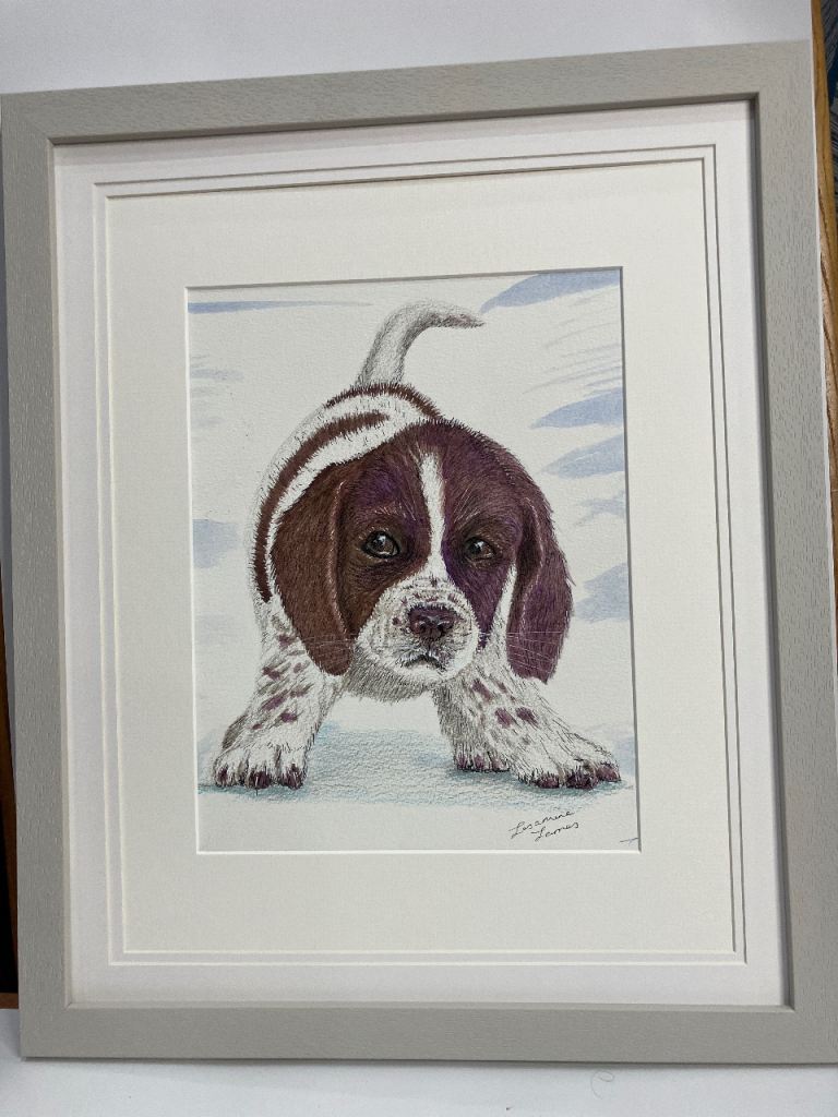 Spaniel Puppy on Ice 