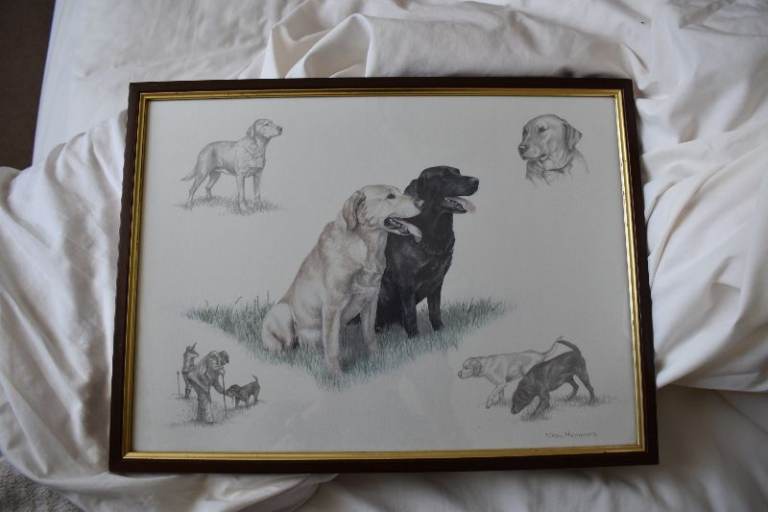 Nigel Hemming framed Labrador print