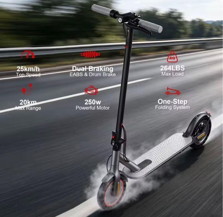Electric scooter 