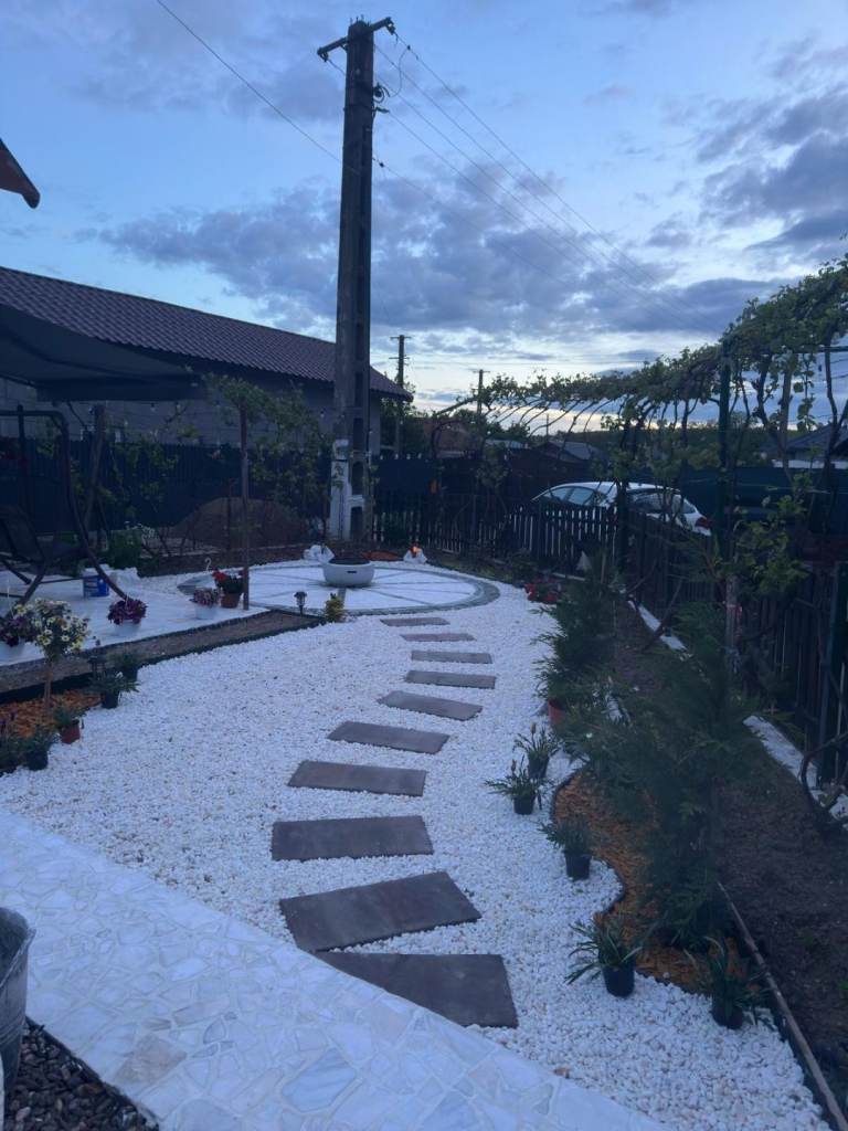 Garden Renovation/mosaic/landscaping 