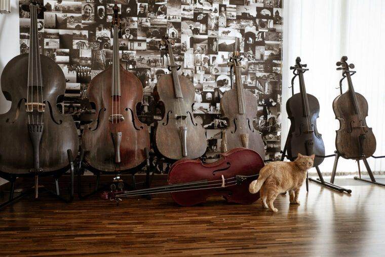 CASH FOR YOUR INSTRUMENTS 