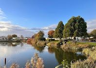 Static Caravan on 5 Star park at Patrington Haven
