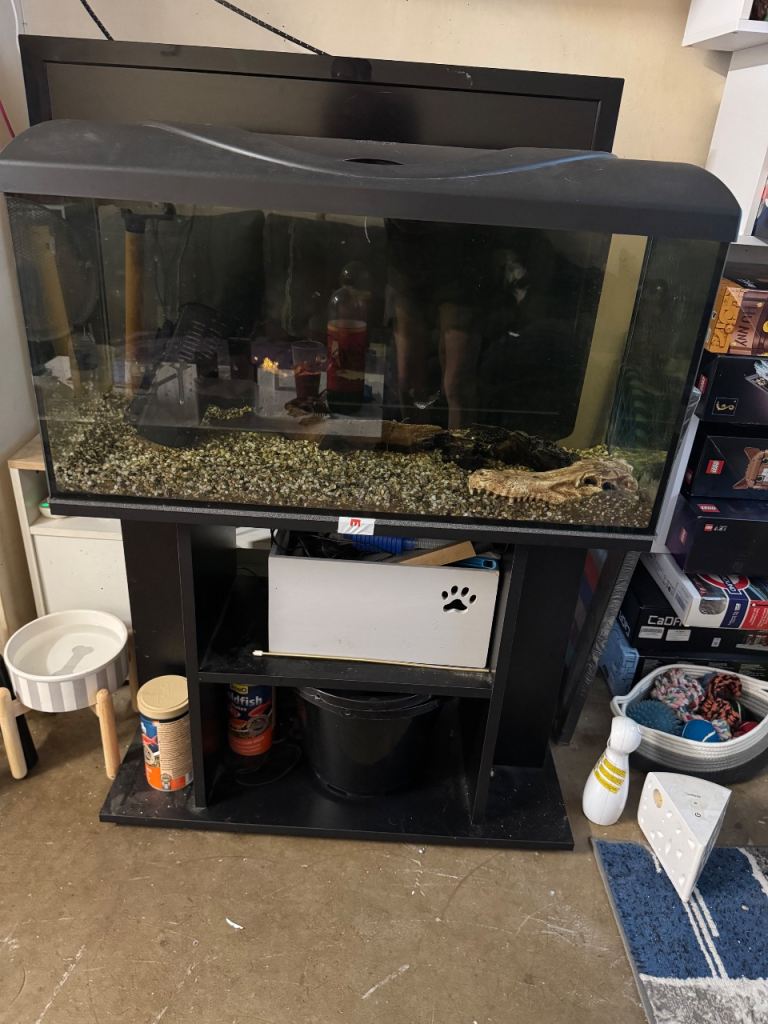 Full set up fish tank 