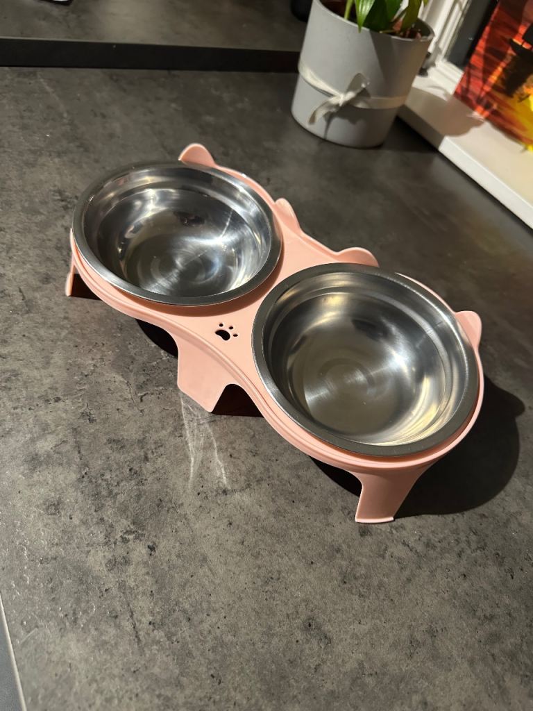 Cat feeding bowls