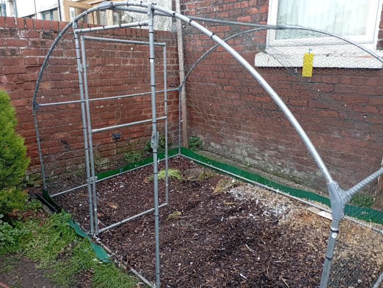 Chicken run