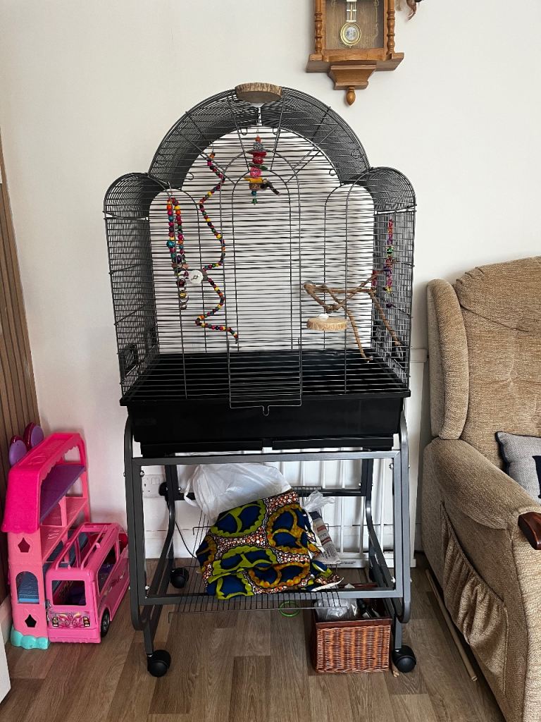 Large Black Metal Bird Cage on Stand with Accessories
