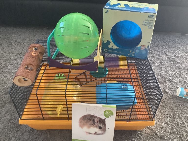 Hamster cage and accessories