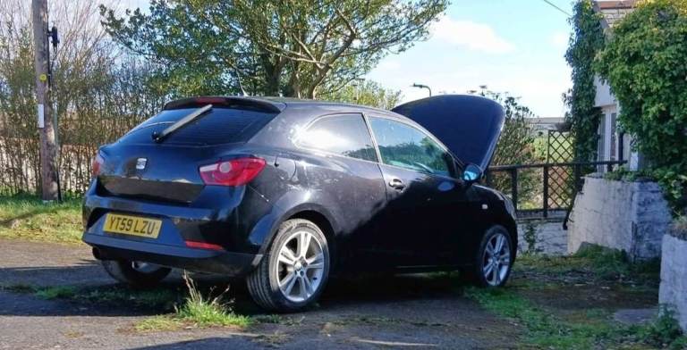 2009 SEAT Ibiza Sport 105