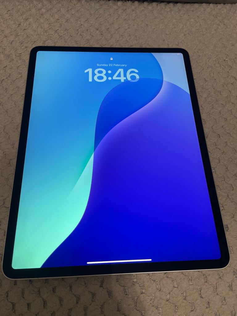 iPad Pro 3rd Gen – 12.9in – 1TB – WiFi – silver/ immaculate Condition as new