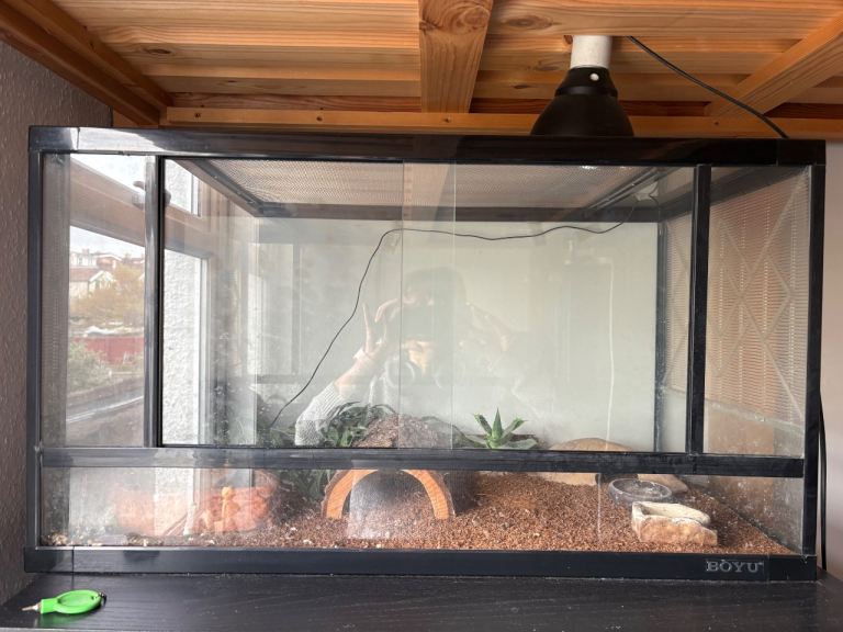 Reptile Vivarium 80x40cm