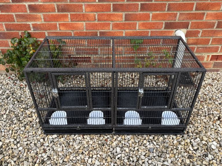 Double Bird Cage