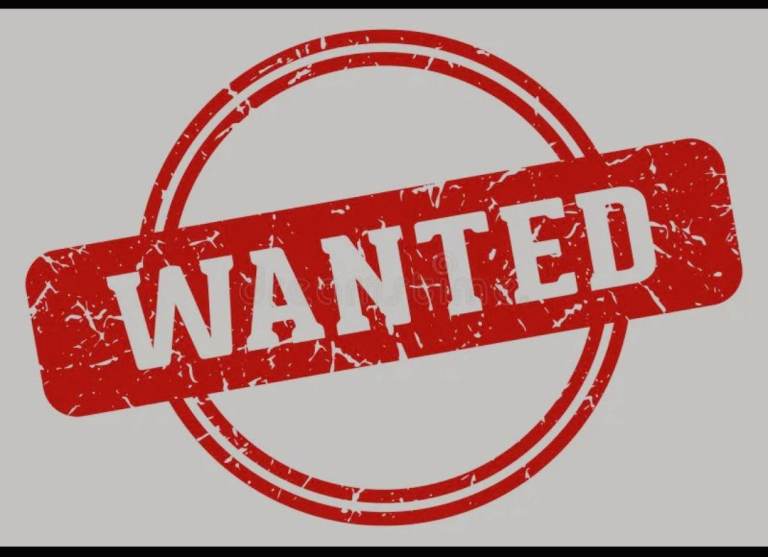 Flat Wanted