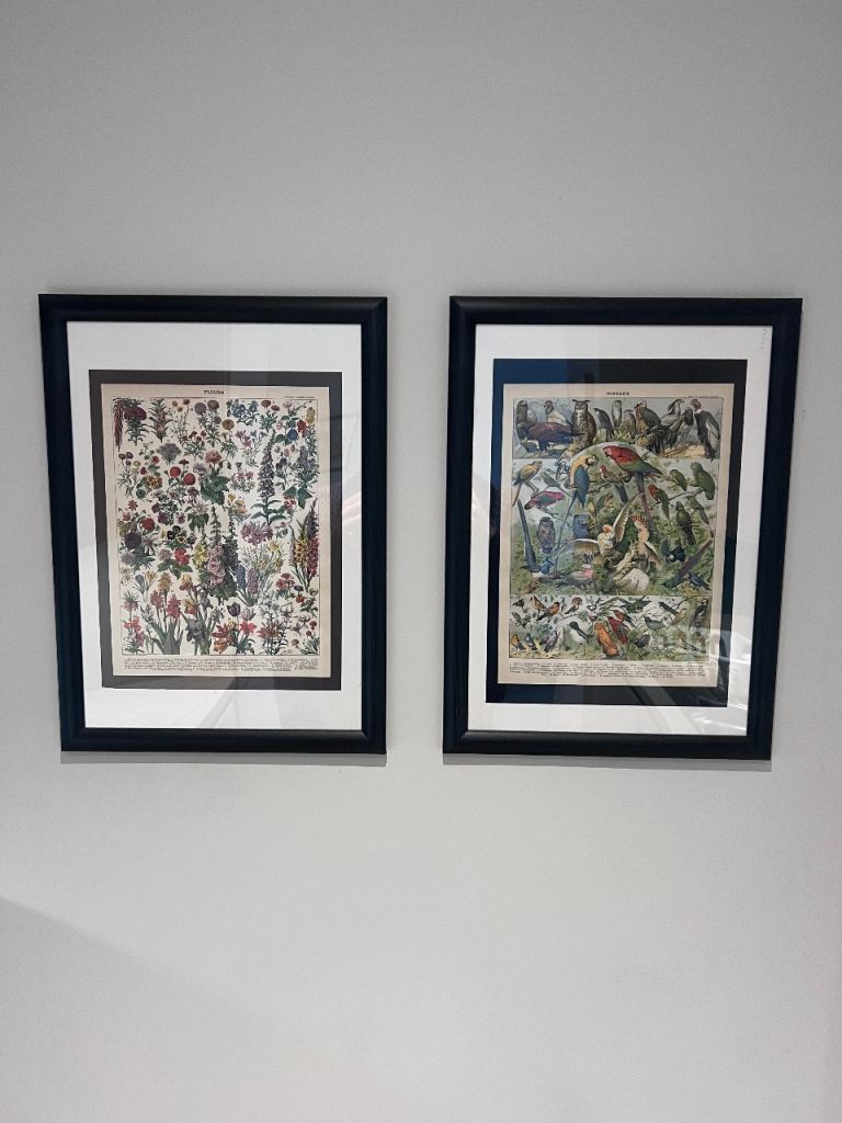 Set of 2 Framed Vintage-Style Prints – Botanical & Birds