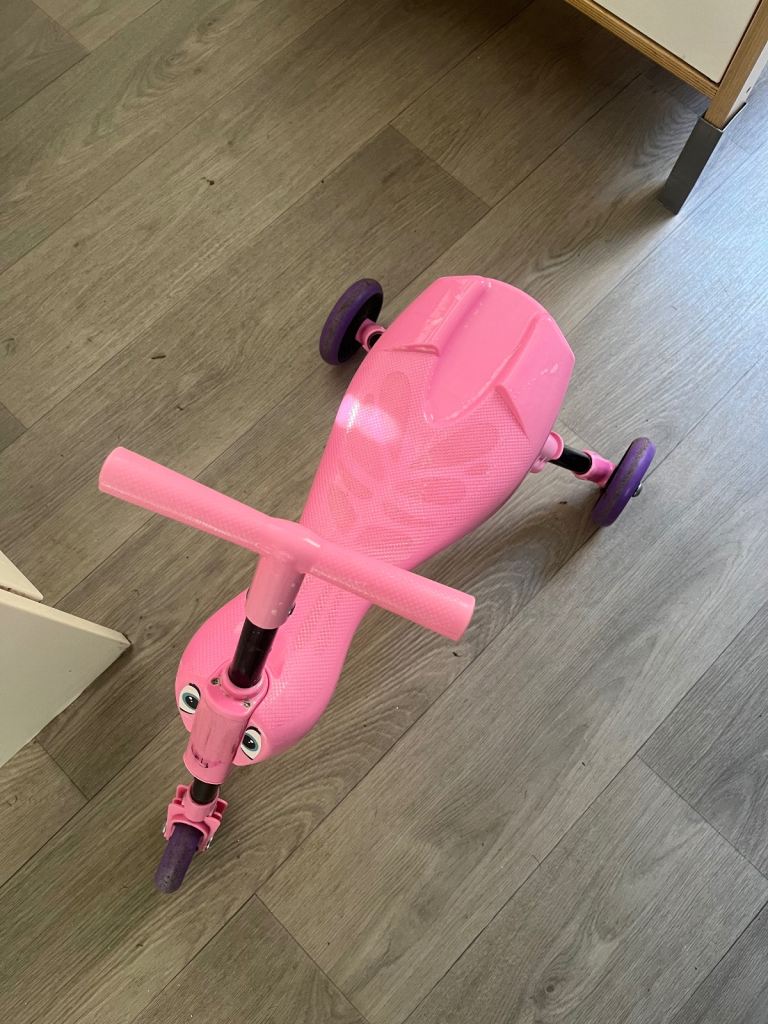 image for Pink scuttlebug 