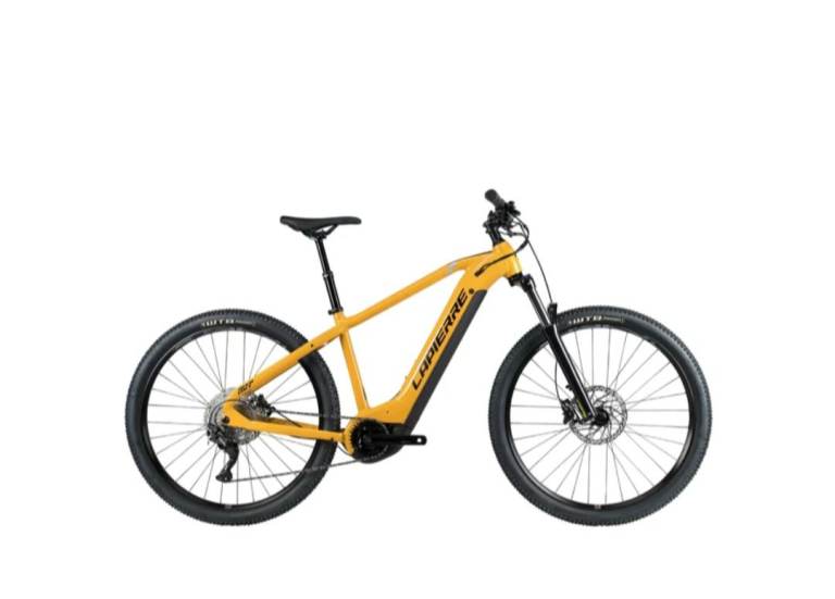E bike