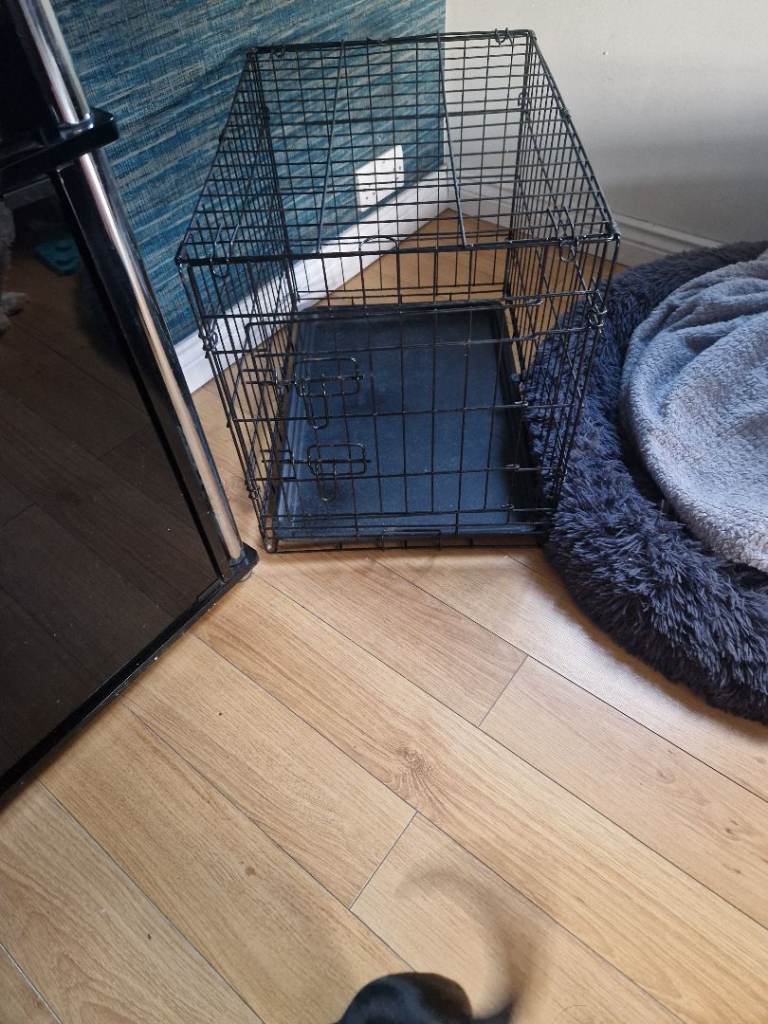 Small dog crate