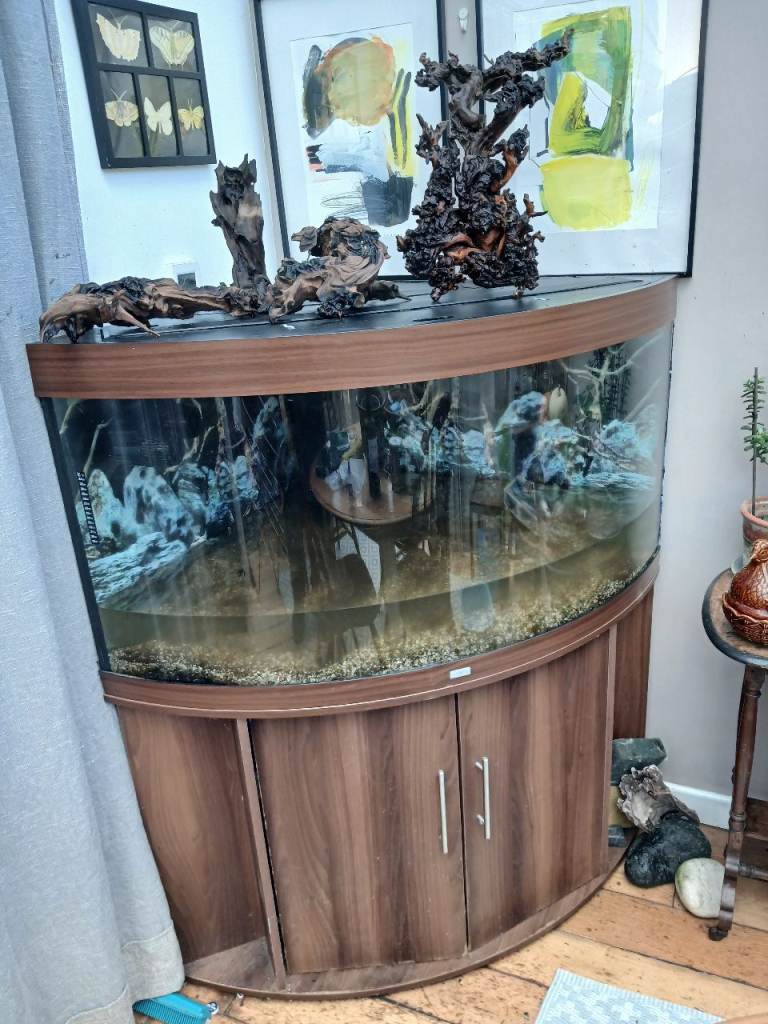 Aquarium. Juwel Trigon 350 and cabinet. LED Lights. Complete set up