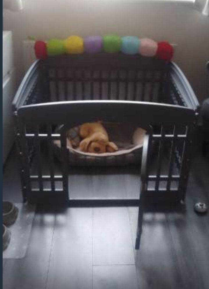 Puppy crate 