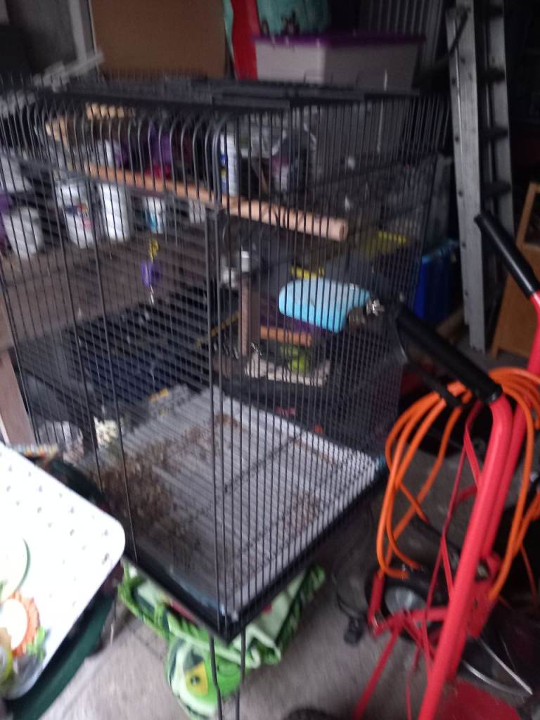 Large bird cage and toys