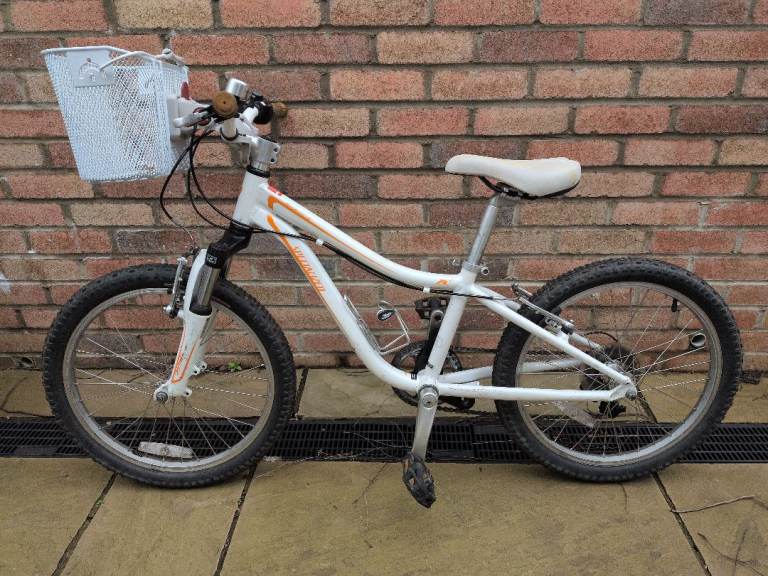 20' Specialized Hotrock