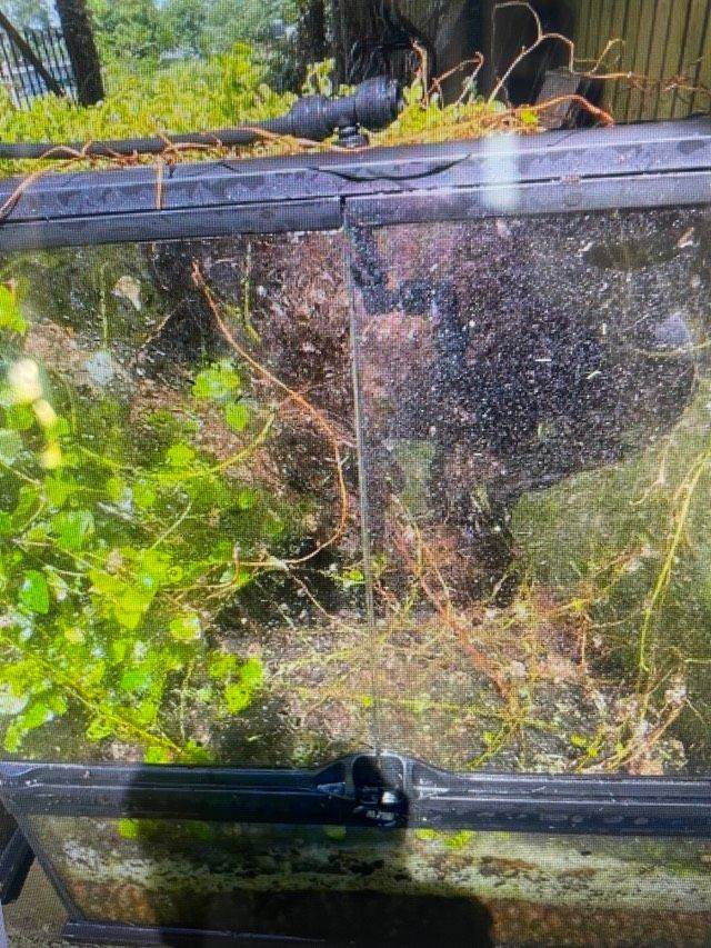 Exo Terra Natural Glass Terrarium Reptile Amphibian Enclosure 45x45x45cm