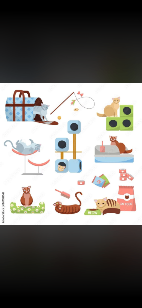 WANTED CATS’ STUFF