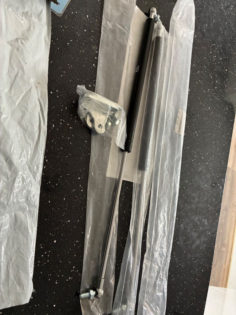Gas struts