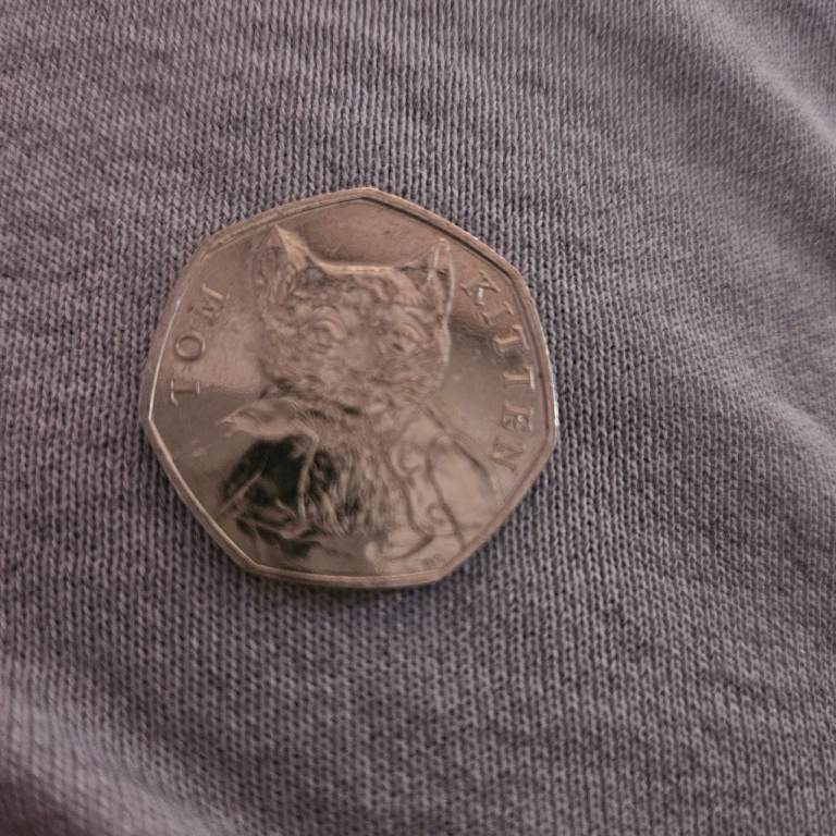 Rare Tom Kitten Coin